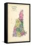 1892, State Map New Hampshire, New Hampshire, United States-null-Framed Stretched Canvas