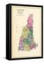 1892, State Map New Hampshire, New Hampshire, United States-null-Framed Stretched Canvas