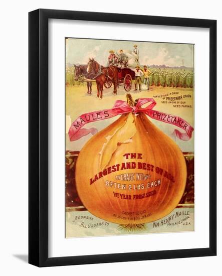 1893 Maule's Onion-Vintage Apple Collection-Framed Giclee Print