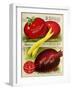 1893 Maule Tomatoes-Vintage Apple Collection-Framed Giclee Print