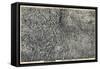 1894, Colorado State Map in Relief, Colorado, United States-null-Framed Stretched Canvas