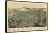 1894, Cortland 1894 Bird's Eye View, New York, United States-null-Framed Stretched Canvas