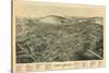 1894, Cortland 1894 Bird's Eye View, New York, United States-null-Stretched Canvas