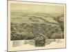 1894, Perkasie Bird's Eye View, Pennsylvania, United States-null-Mounted Giclee Print