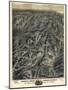 1895, Cripple Creek Mining District 1895c Bird's Eye View, Colorado, United States-null-Mounted Giclee Print