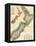 1895, New Zealand-null-Framed Stretched Canvas