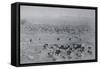 1896 Colorado Springs Scenic View-W.E. Hook-Framed Stretched Canvas