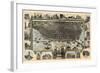 1896, Saint Louis Bird's Eye View, Missouri, United States-null-Framed Giclee Print