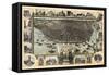 1896, Saint Louis Bird's Eye View, Missouri, United States-null-Framed Stretched Canvas