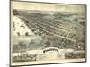 1896, Wyandotte Bird's Eye View, Michigan, United States-null-Mounted Giclee Print