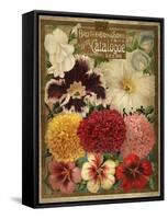 1897 Brotherton and Sons Spring Catalogue-null-Framed Stretched Canvas