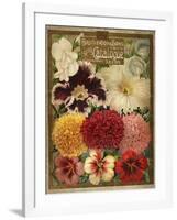 1897 Brotherton and Sons Spring Catalogue-null-Framed Art Print