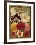 1897 Brotherton and Sons Spring Catalogue-null-Framed Art Print