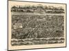 1897, Newton Centre Bird's Eye View, Massachusetts, United States-null-Mounted Giclee Print