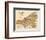 1898, Cleveland, Ohio, United States-null-Framed Giclee Print