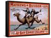 1898 Poster for the Mathews and Bulger Comedy Team's Play, at Gay Coney Island-null-Framed Stretched Canvas