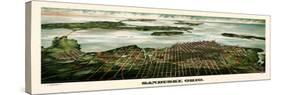 1898, Sandusky Bird's Eye View, Ohio, United States-null-Stretched Canvas