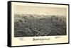 1899, Barnesville Bird's Eye View, Ohio, United States-null-Framed Stretched Canvas