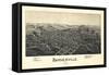 1899, Barnesville Bird's Eye View, Ohio, United States-null-Framed Stretched Canvas