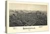 1899, Barnesville Bird's Eye View, Ohio, United States-null-Stretched Canvas