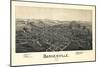 1899, Barnesville Bird's Eye View, Ohio, United States-null-Mounted Giclee Print