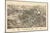 1899, Pittsfield Bird's Eye View, Massachusetts, United States-null-Mounted Giclee Print