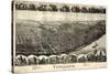 1899, Toronto Bird's Eye View, Ohio, United States-null-Stretched Canvas