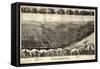 1899, Toronto Bird's Eye View, Ohio, United States-null-Framed Stretched Canvas