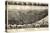 1899, Toronto Bird's Eye View, Ohio, United States-null-Stretched Canvas