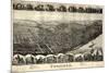 1899, Toronto Bird's Eye View, Ohio, United States-null-Mounted Premium Giclee Print