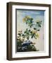 18th-Century Chinese Watercolor of Gold Thread Plant-null-Framed Giclee Print