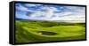 18th Green at Brora Golf Club, Moray Firth, Brora, Scotland-Panoramic Images-Framed Stretched Canvas