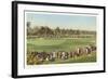 18th Green, Golf Tournament-null-Framed Art Print