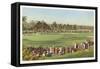 18th Green, Golf Tournament-null-Framed Stretched Canvas