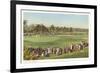 18th Green, Golf Tournament-null-Framed Art Print