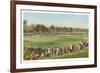 18th Green, Golf Tournament-null-Framed Premium Giclee Print