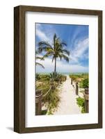 19 00841-Melanie Viola-Framed Photographic Print