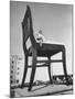 19 Ft. Chair Being Used as an Advertising Stunt-Ed Clark-Mounted Photographic Print