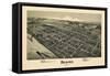 1900, Beaver Bird's Eye View, Pennsylvania, United States-null-Framed Stretched Canvas