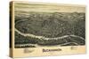 1900, Buckhannon Bird's Eye View, West Virginia, United States-null-Stretched Canvas