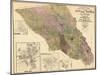 1900, Sonoma County Wall Map, California, United States-null-Mounted Giclee Print
