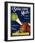 1900s USA A Signal From Mars Sheet Music Cover-null-Framed Premium Giclee Print