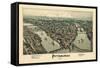 1902, Pittsburgh Bird's Eye View, Pennsylvania, United States-null-Framed Stretched Canvas