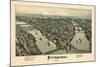 1902, Pittsburgh Bird's Eye View, Pennsylvania, United States-null-Mounted Premium Giclee Print