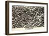 1903, Birmingham Bird's Eye View, Alabama, United States-null-Framed Giclee Print