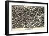 1903, Birmingham Bird's Eye View, Alabama, United States-null-Framed Giclee Print