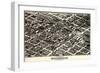 1903, Birmingham Bird's Eye View, Alabama, United States-null-Framed Giclee Print