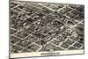 1903, Birmingham Bird's Eye View, Alabama, United States-null-Mounted Giclee Print