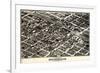 1903, Birmingham Bird's Eye View, Alabama, United States-null-Framed Giclee Print