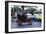 1903 Cadillac at 2000 London to Brighton run-null-Framed Photographic Print